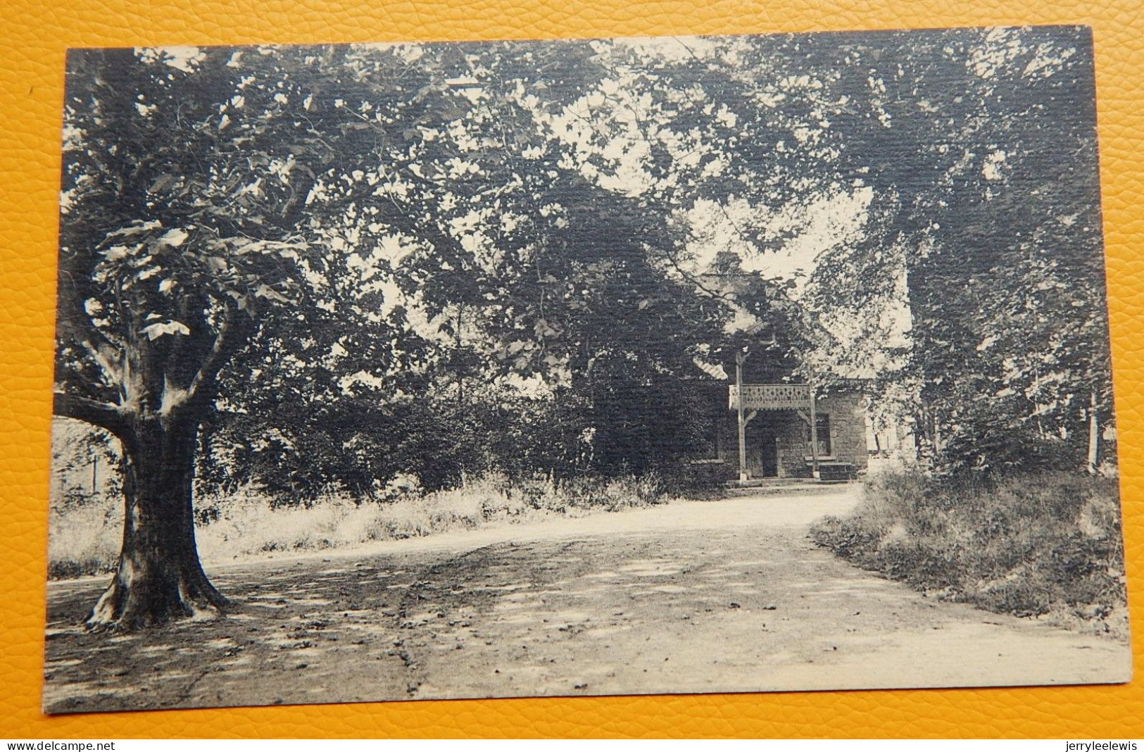 COUVIN  -   Parc De Saint-Roch -  L'entrée Du Côté De La Gare - Couvin