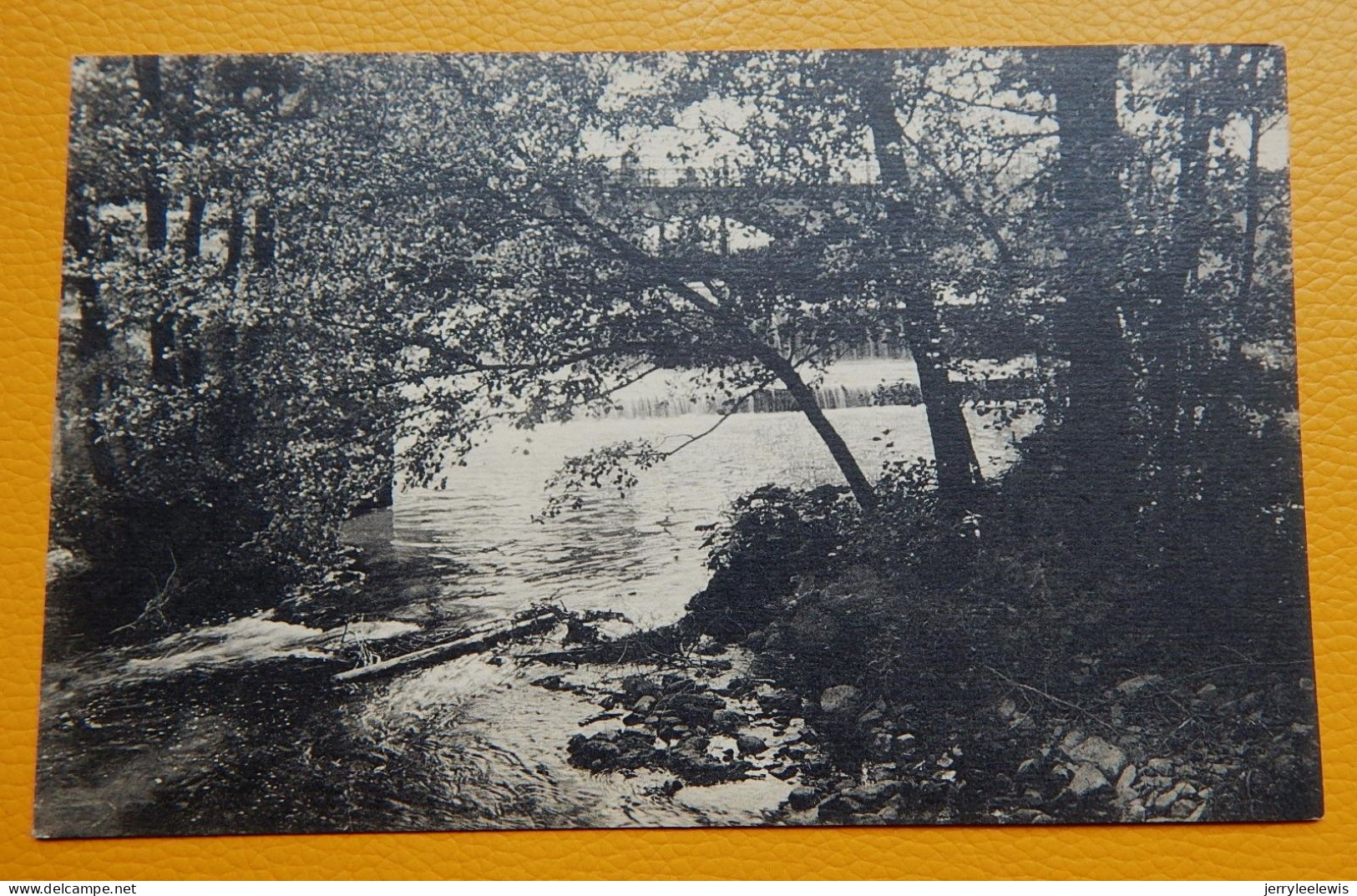 COUVIN  -   Parc De Saint-Roch -  La Grande Chute D'eau - Couvin