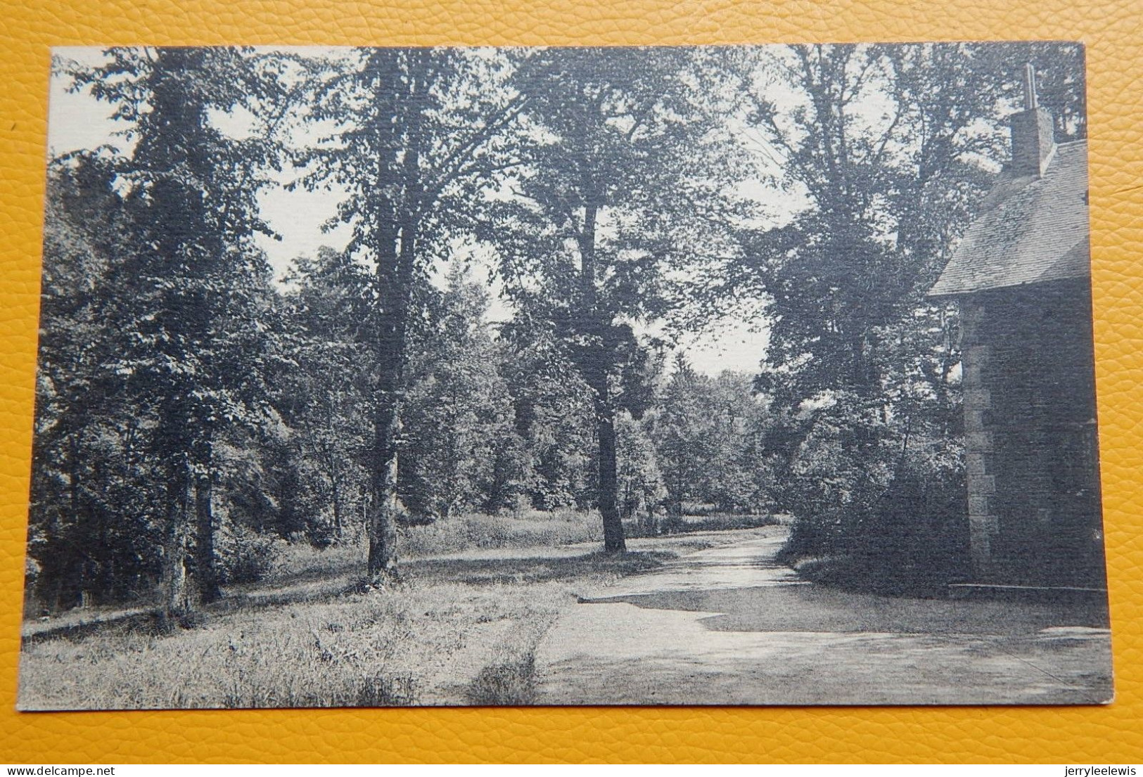 COUVIN  -   Parc De Saint-Roch -  Entrée Côté De Frasnes - Couvin