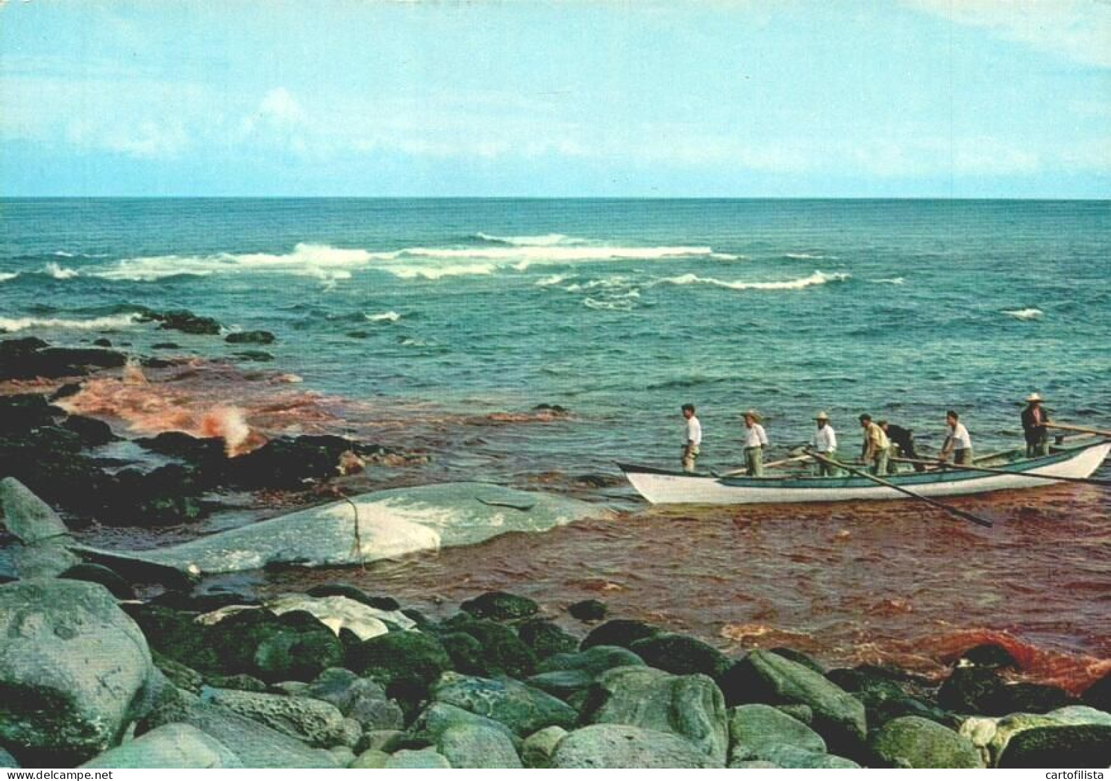 ILHA DE SÃO MIGUEL, Açores - Caça à Baleia  (2 Scans) - Açores