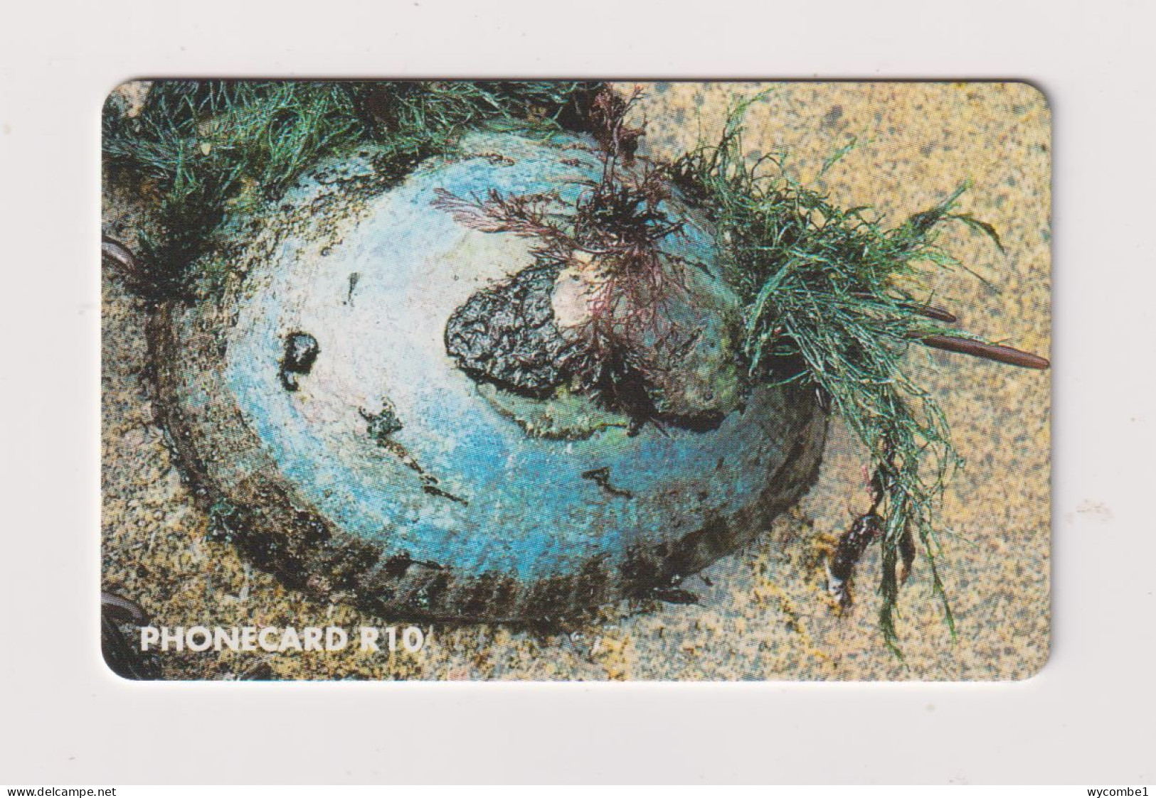 SOUTH AFRICA  -  Limpet Garden Chip Phonecard - South Africa