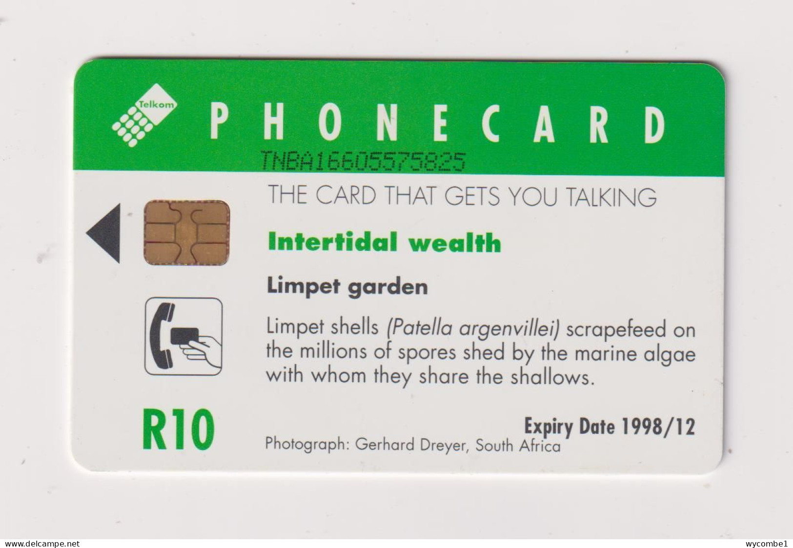 SOUTH AFRICA  -  Limpet Garden Chip Phonecard - South Africa