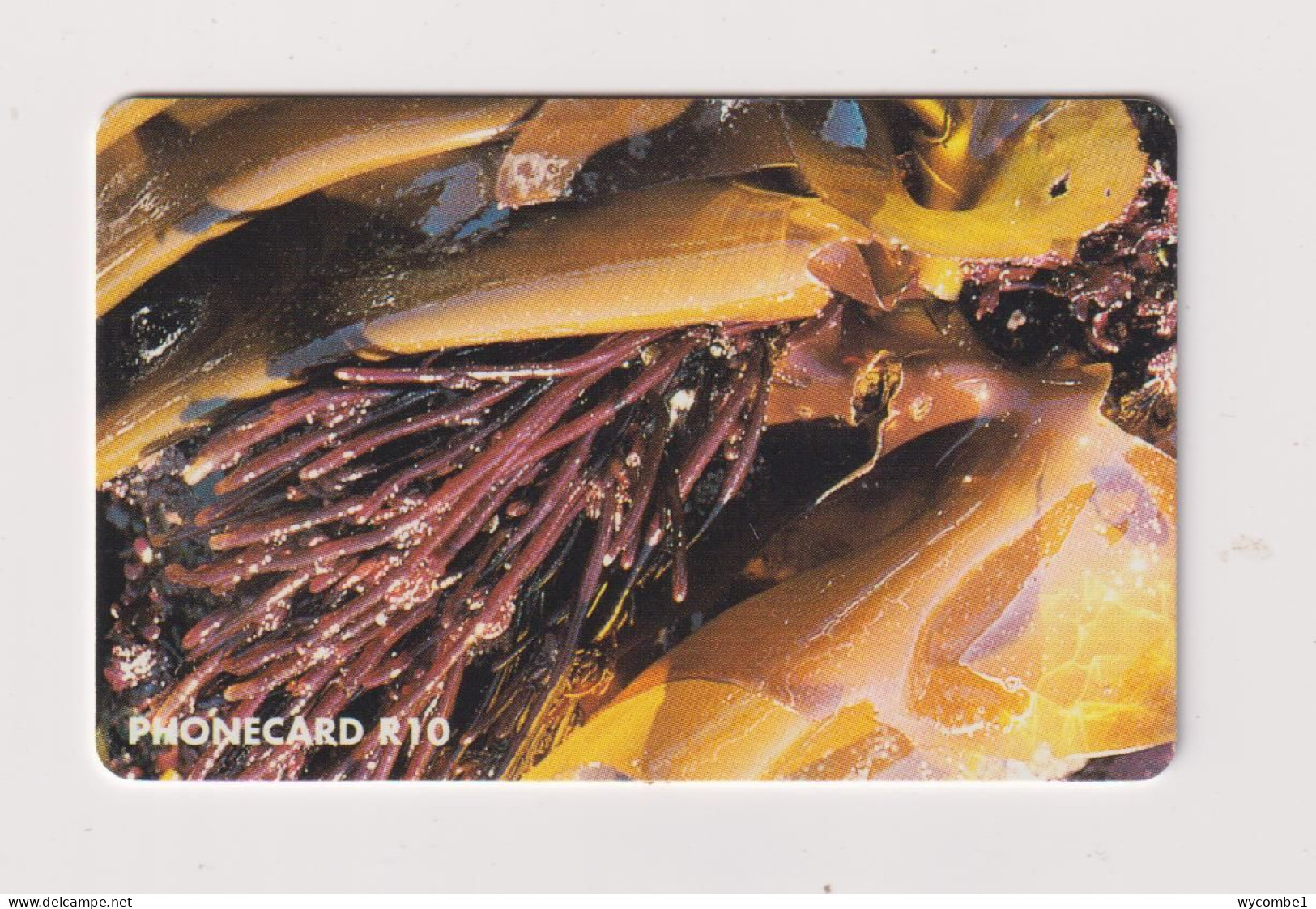 SOUTH AFRICA  -  Marine Algae Chip Phonecard - Zuid-Afrika