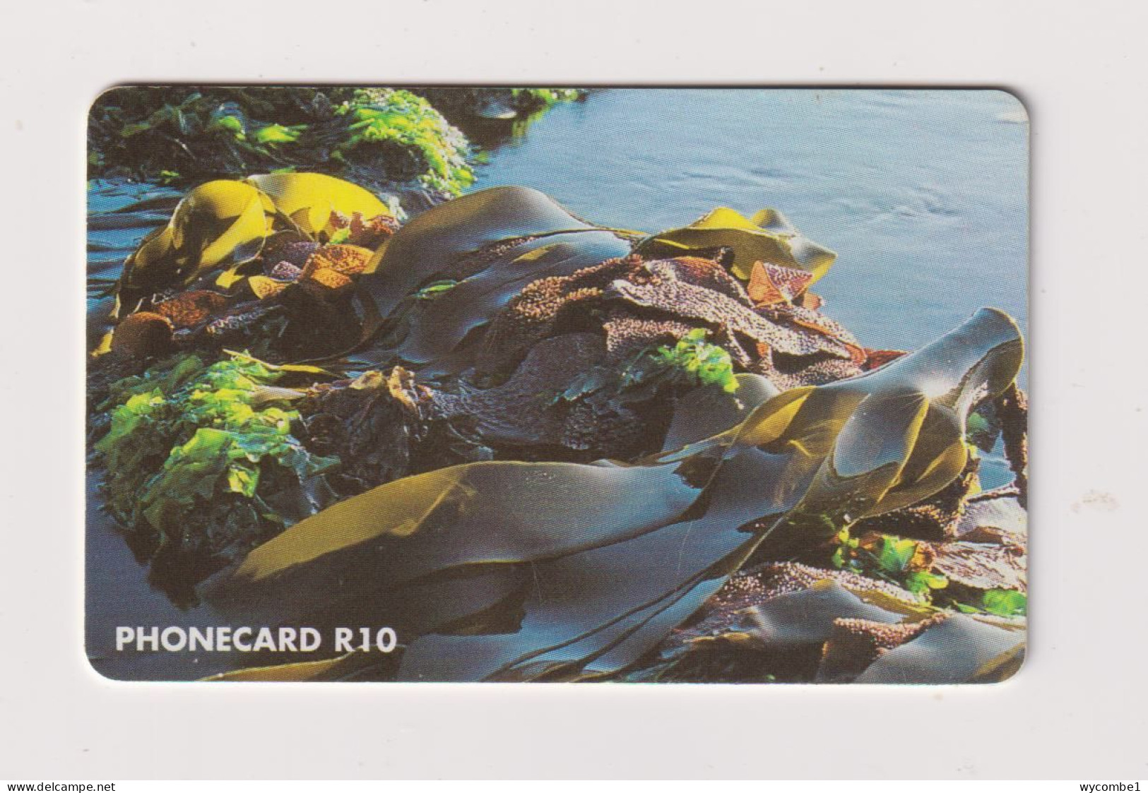 SOUTH AFRICA  -  Marine Flora Chip Phonecard - Zuid-Afrika