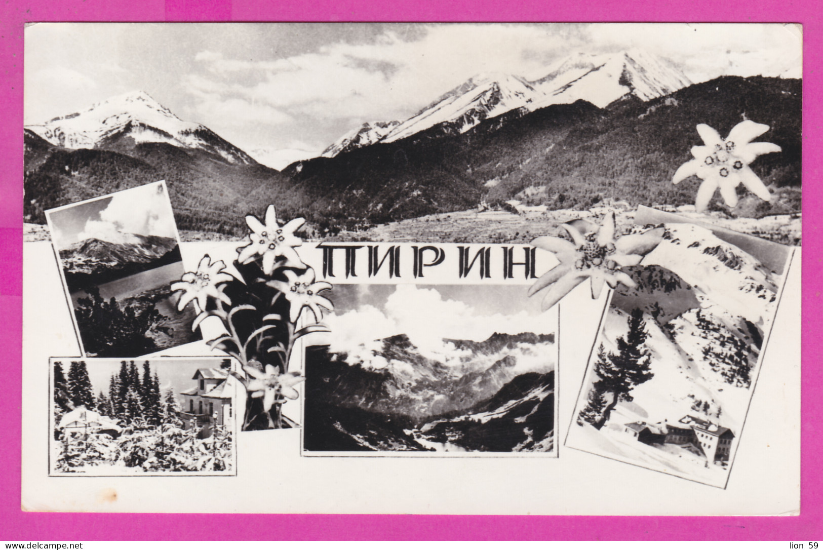 309285 / Bulgaria - Pirin Mountains Southwestern - Panorama Hut Edelweiss PC USED Bansko Miner Bulgarie Bulgarien - Bulgarie