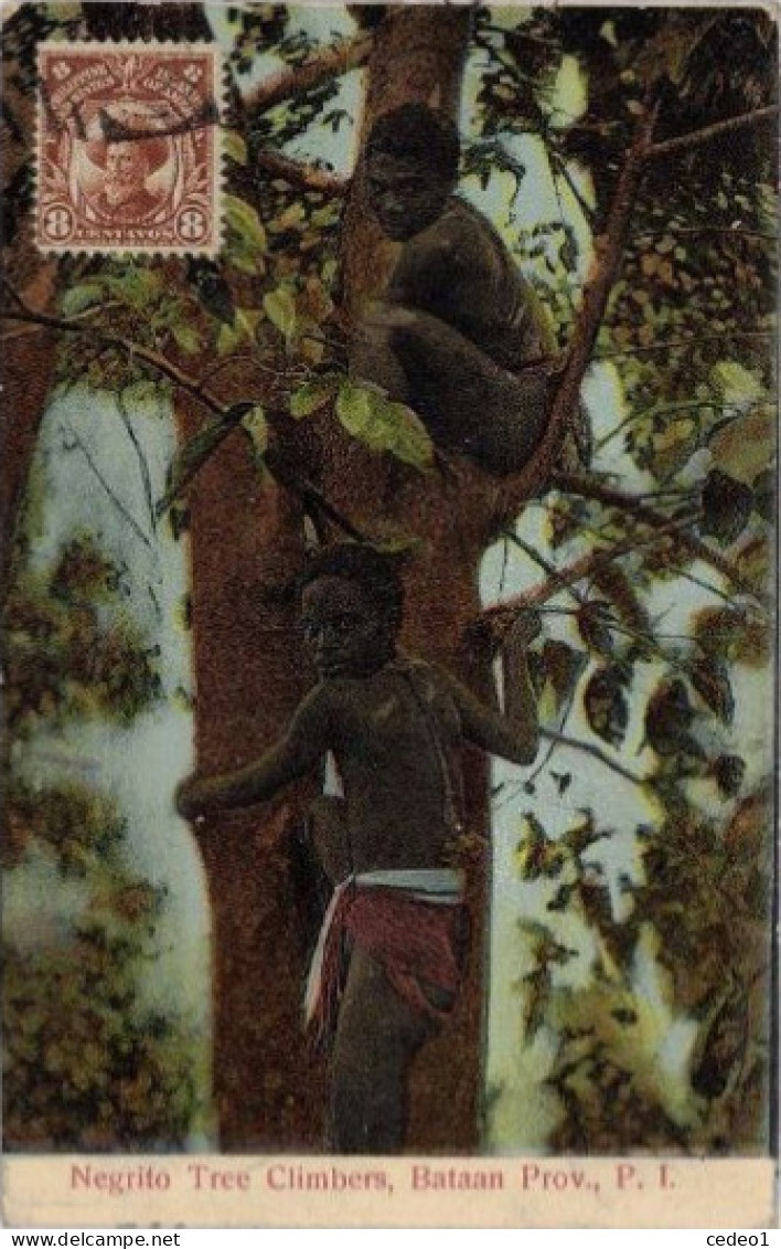 PHILIPPINES   NEGRITO TREE CLIMBERS BATAAN    En 1913 - Philippines