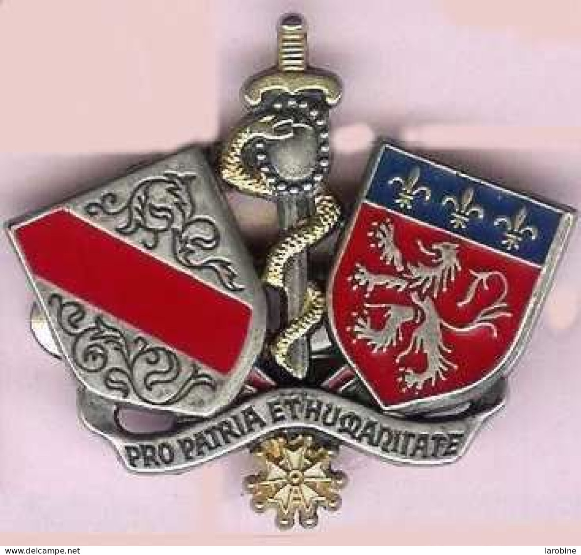 @@ Broche Insigne épée Glaive Militaire Service De Santé Des Armées Pro Patria Et Humanitate FIA LYON (4X4.5) @@gen22 - Medical Services