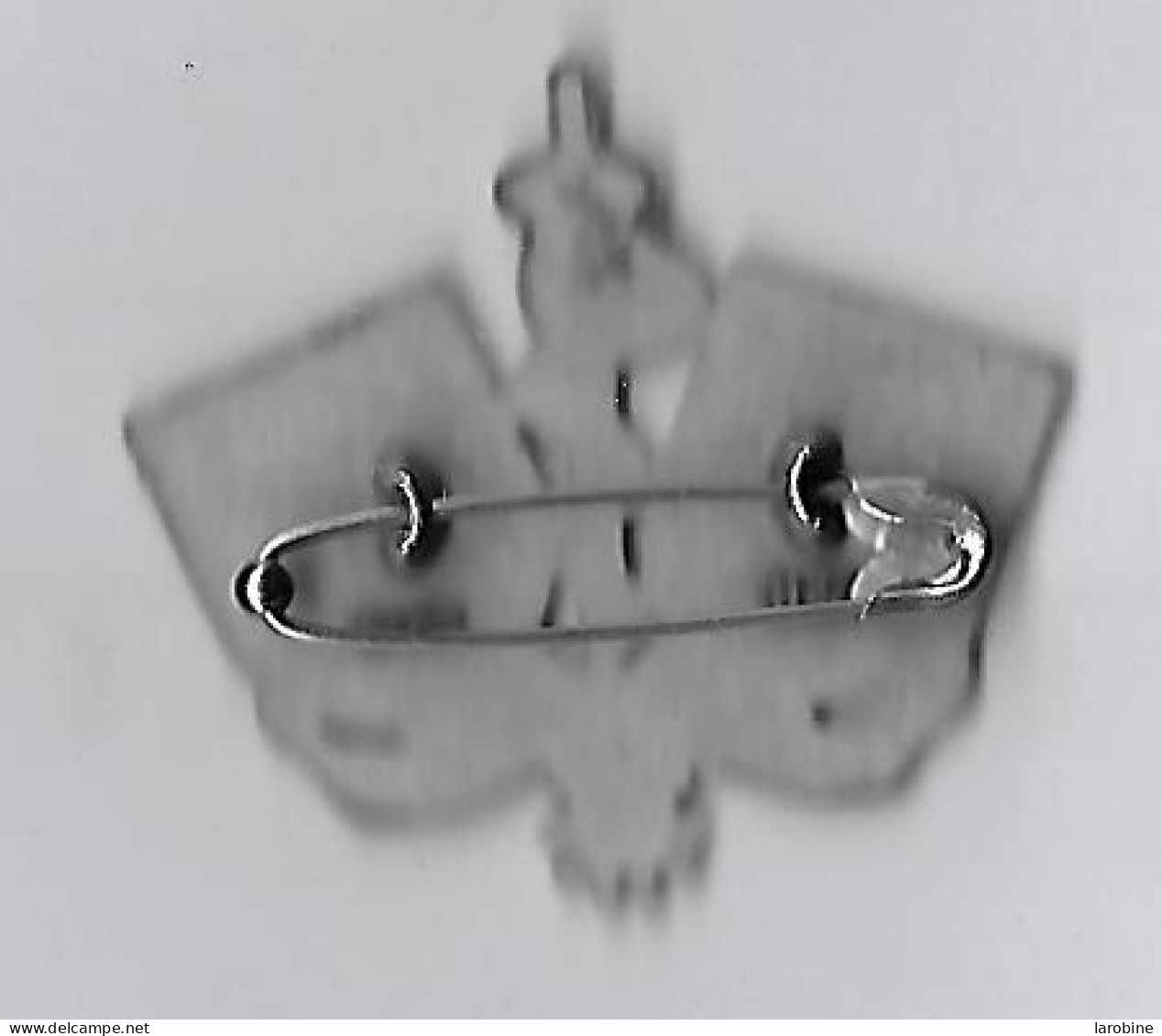 @@ Broche Insigne épée Glaive Militaire Service De Santé Des Armées Pro Patria Et Humanitate FIA LYON (4X4.5) @@gen22 - Medicina