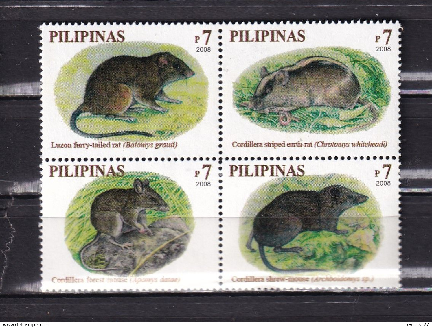 PHILPPINES-2008-RODENTS-MNH. - Roedores