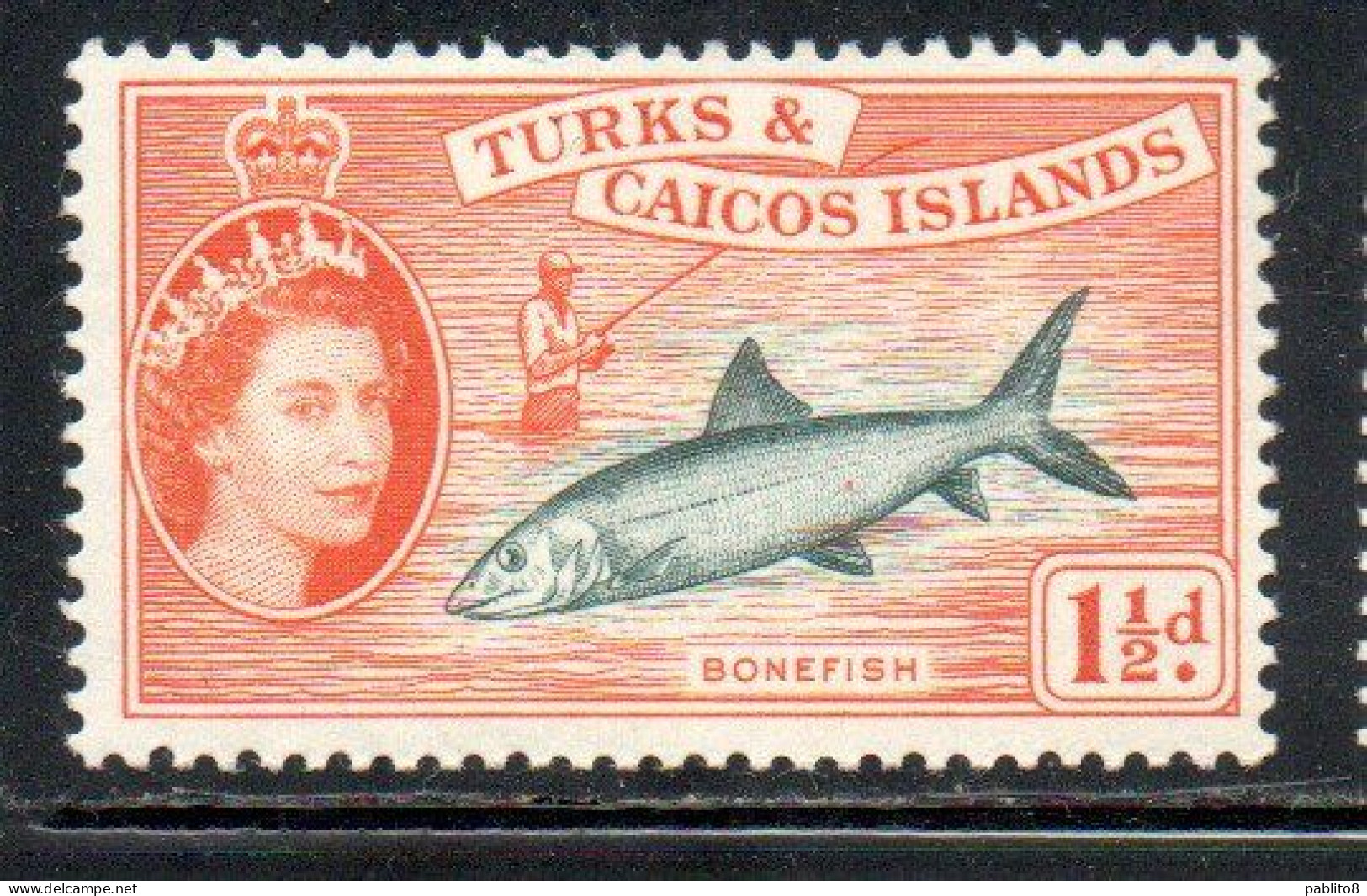 TURKS AND CAICOS 1957 1960 QUEEN ELIZABETH II BONEFISH 1 1/2p MNH - Turks And Caicos