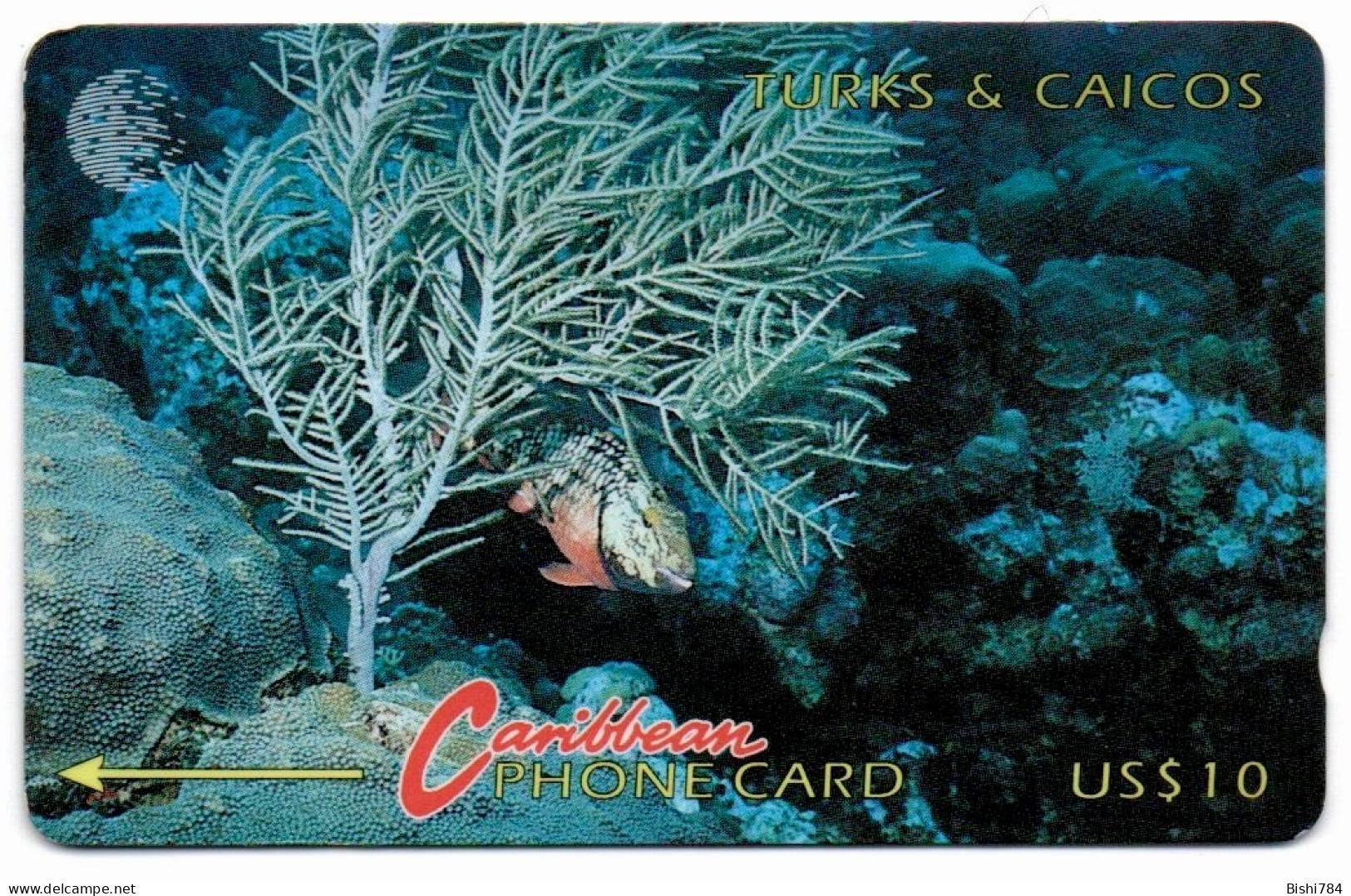 Turks & Caicos - Fish & Coral - 4СТCA - Turks- En Caicoseilanden