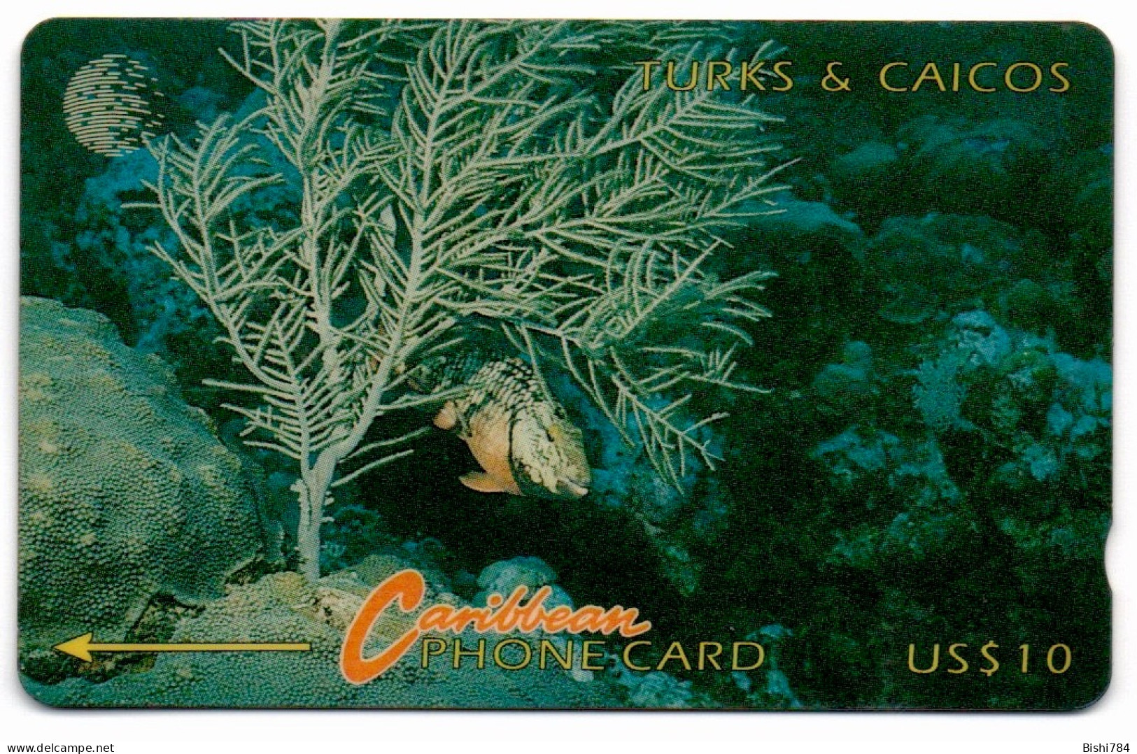 Turks & Caicos - Fish & Coral - 7CTCB - Turks- En Caicoseilanden