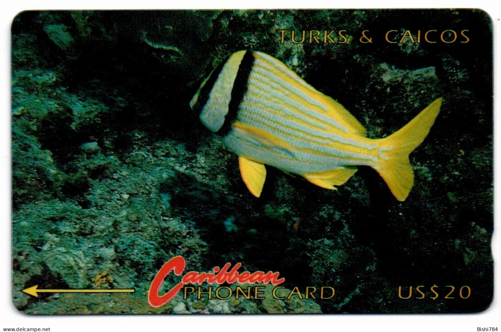 Turks & Caicos - Parrot Fish - 1CTCD - Turks- En Caicoseilanden