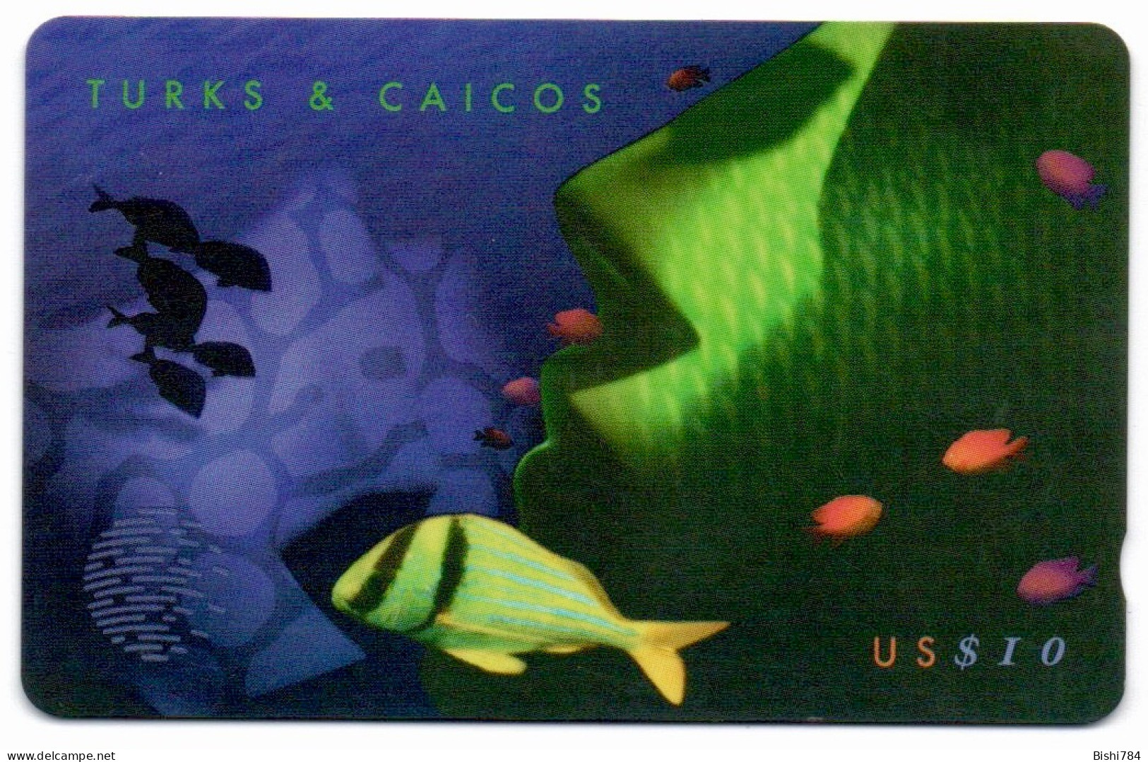 Turks & Caicos - Artwork Puzzel (2/2) - 108CTCB (with Ø) - Turks And Caicos Islands