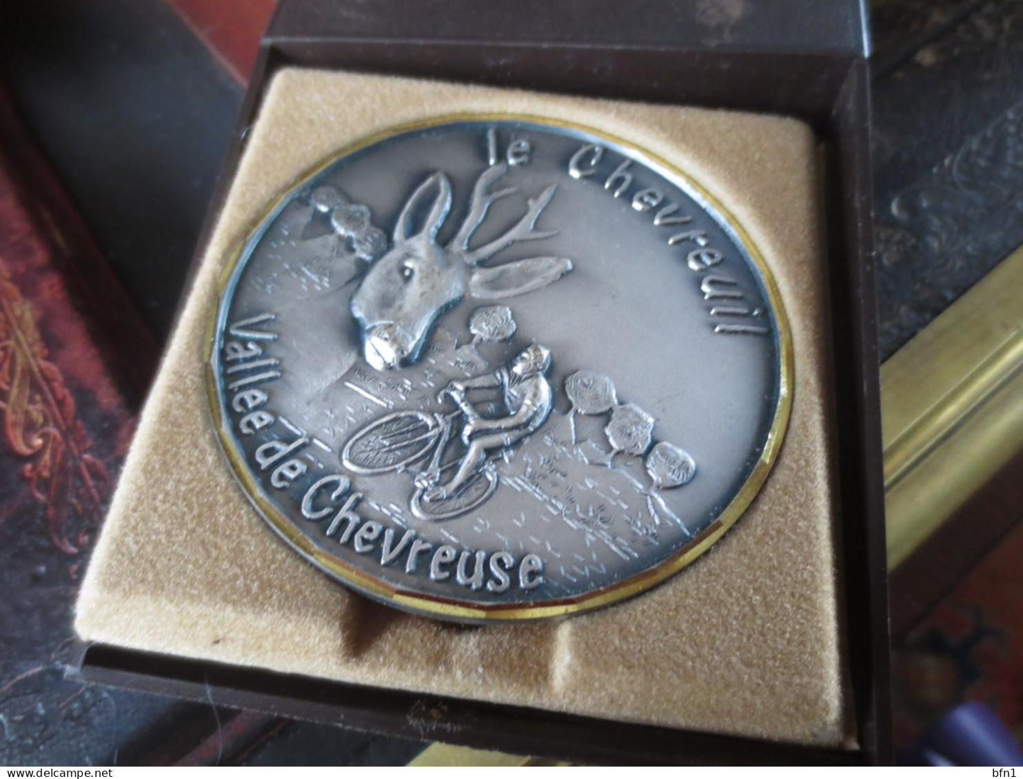 MEDAILLE LE CHEVREUIL VALLE DE CHEVREUSE - Professionnels / De Société