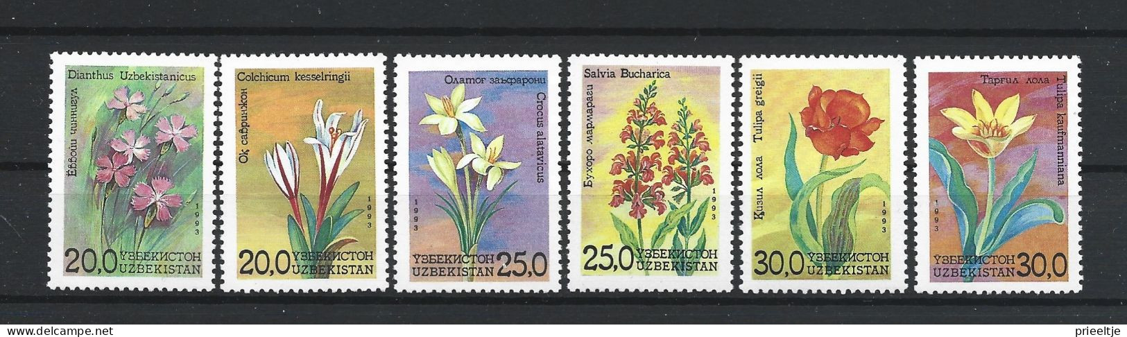 Uzbekistan 1993 Flowers Y.T. 30/35 ** - Usbekistan