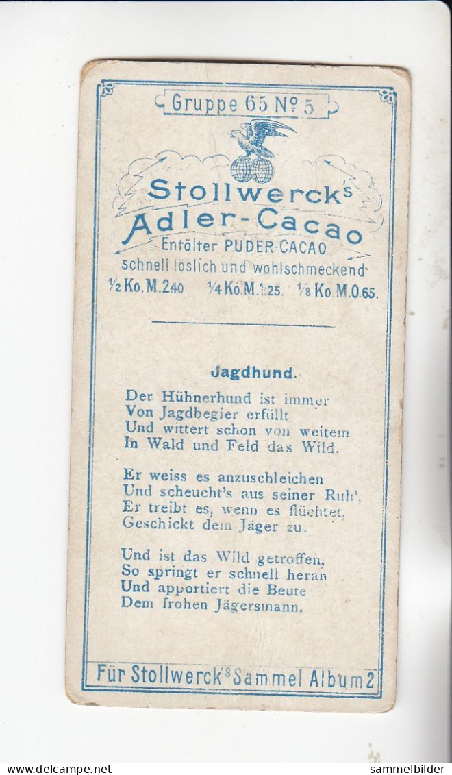 Stollwerck Album No 2 Aus Dem Tierreiche  Jagdhund   Grp 65#5 Von 1898 - Stollwerck