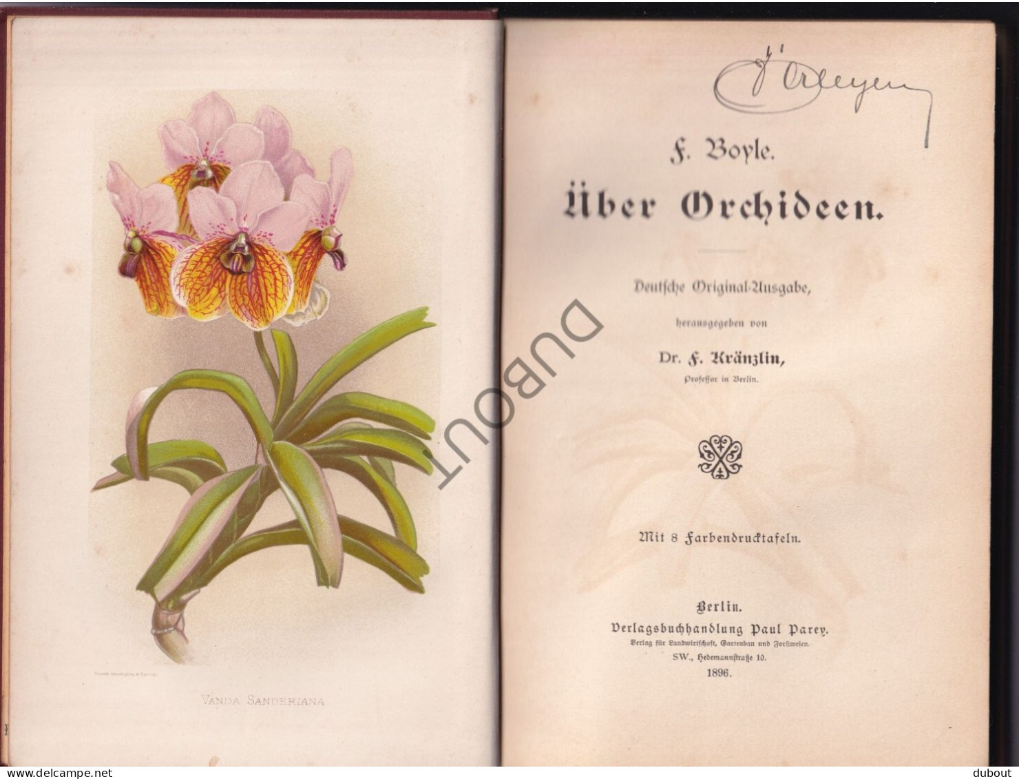 Botanica - Uber Orchideen - F. Boyle 1896 Berlin (S356) - Libros Antiguos Y De Colección