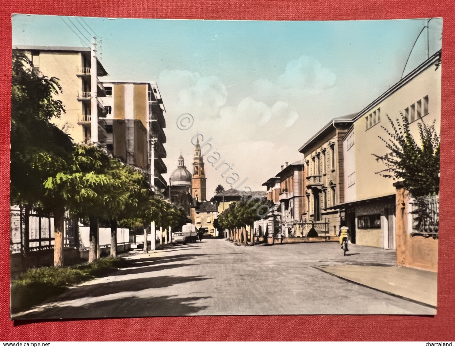 Cartolina - Casalmaggiore ( Cremona ) - Via Martelli - 1965 - Cremona