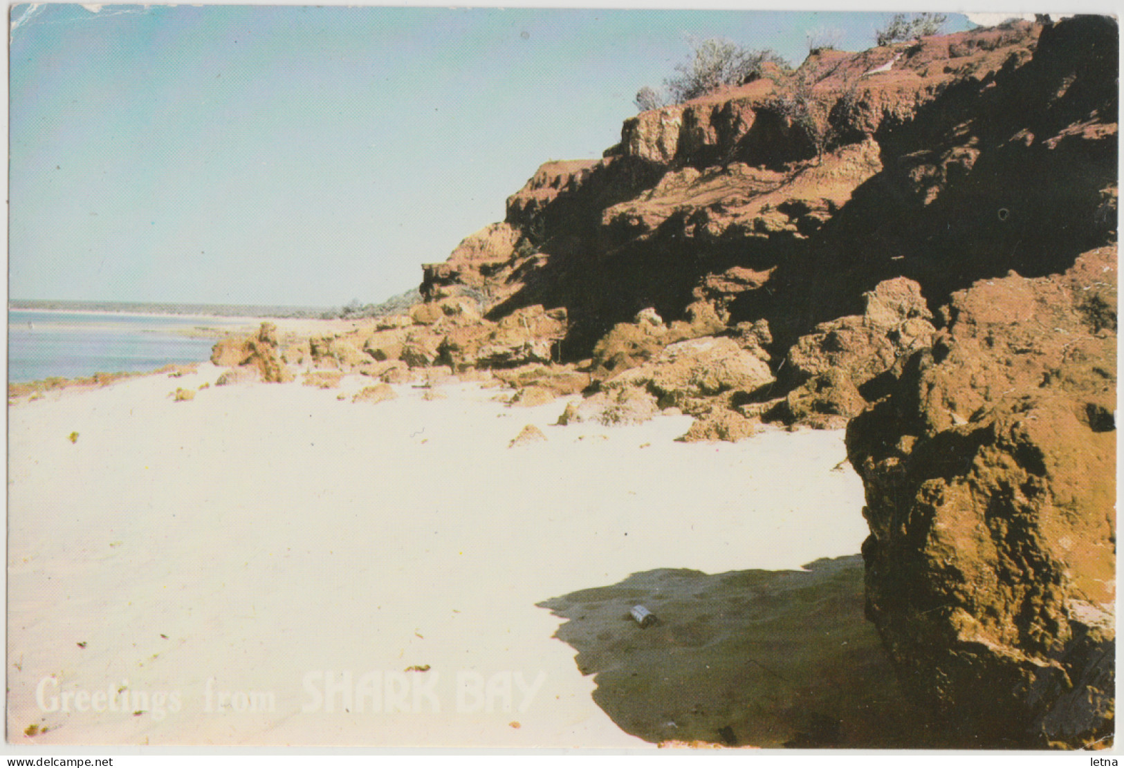 WESTERN AUSTRALIA WA Red Bluff SHARK BAY Emu Souvenirs Postcard C1970s - Andere & Zonder Classificatie