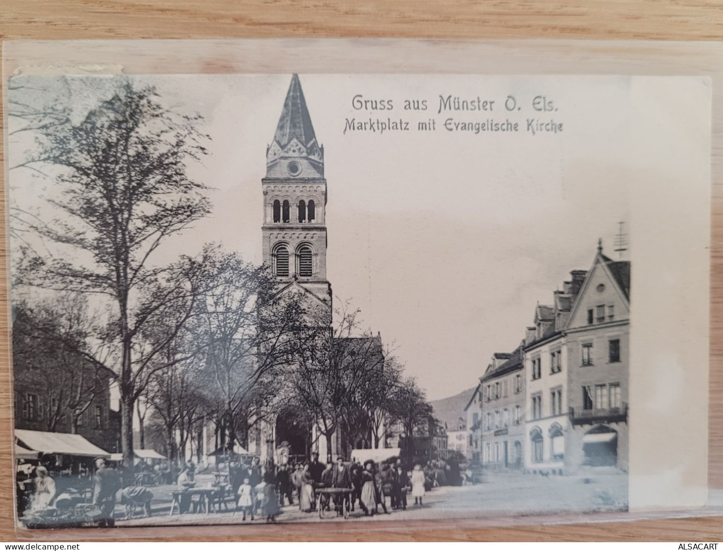 Gruss Aus  Munster , Marché - Munster