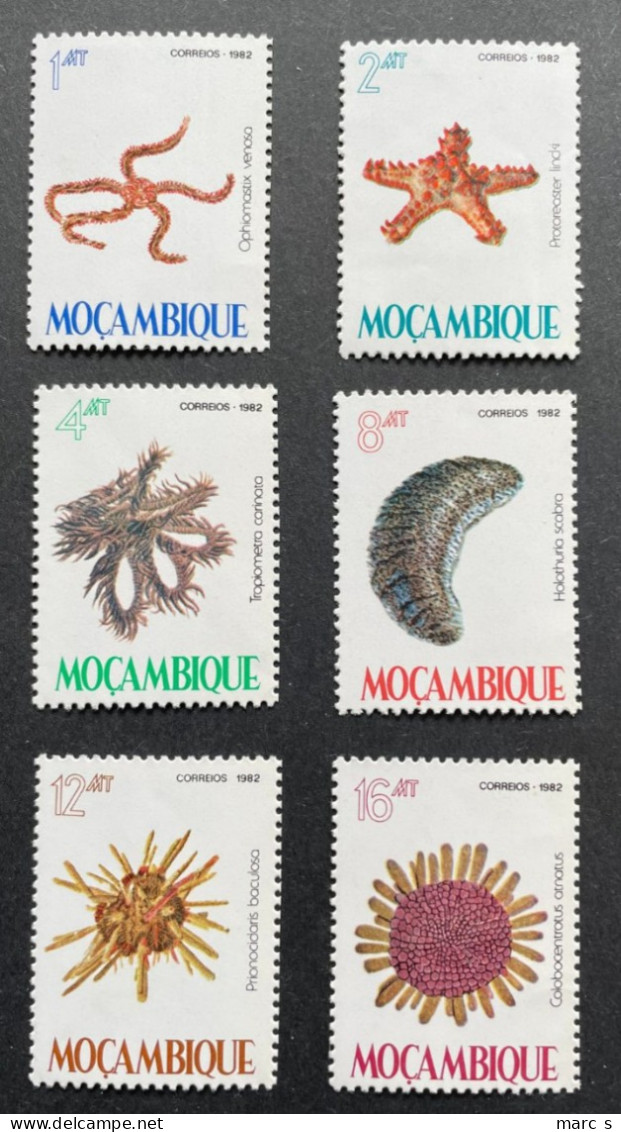 MOZAMBIQUE - 1982 - NEUF**/MNH - Série Complète Mi 913 / 918 - YT 897 / 902 - Echinoderms Etoile Des Mers - Marine Life - Mozambique