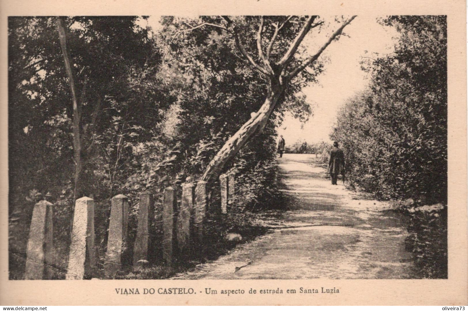VIANA DO CASTELO - Um Aspecto Da Estrada Em Santa Luzia - PORTUGAL - Viana Do Castelo