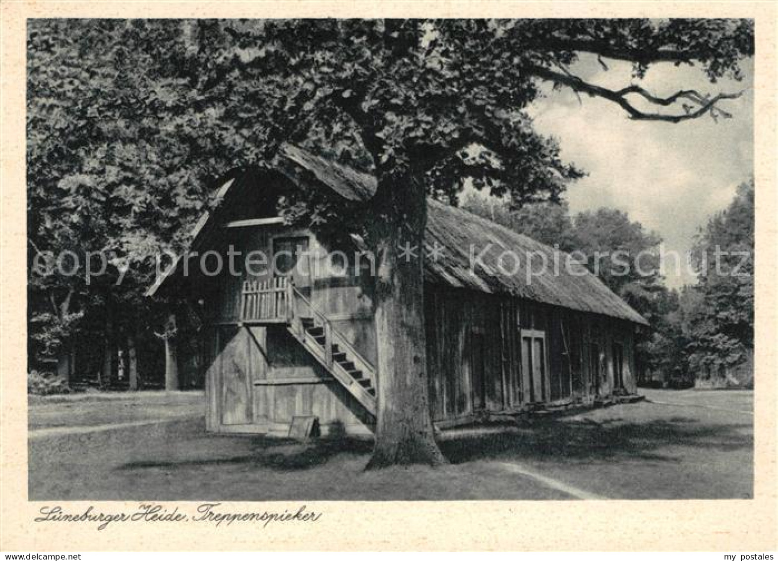 73164140 Lueneburger Heide Treppenspieker Lueneburger Heide - Walsrode