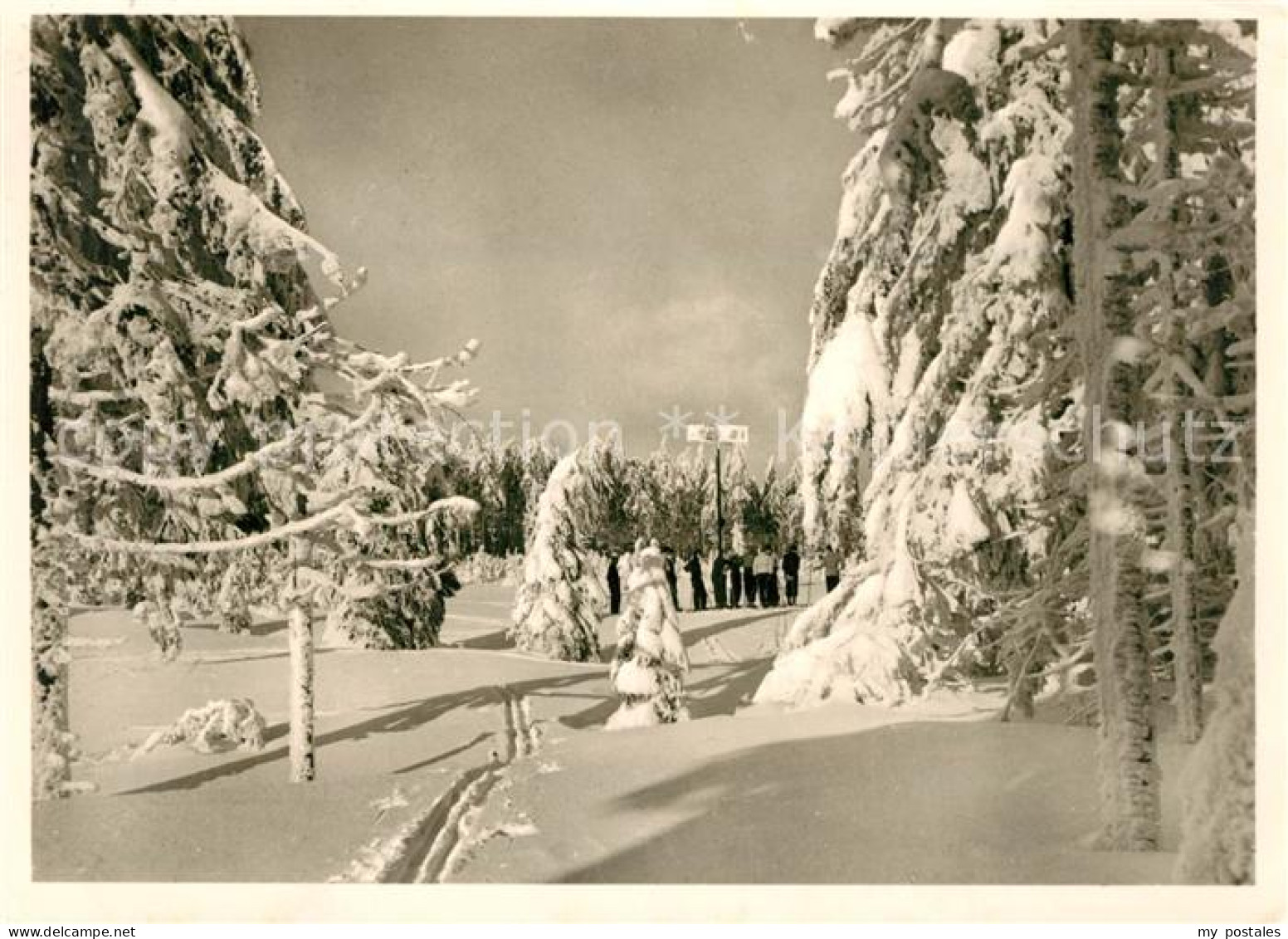 73164040 Andreasberg Harz St Winterlandschaft Rehberg Andreasberg Harz St - St. Andreasberg