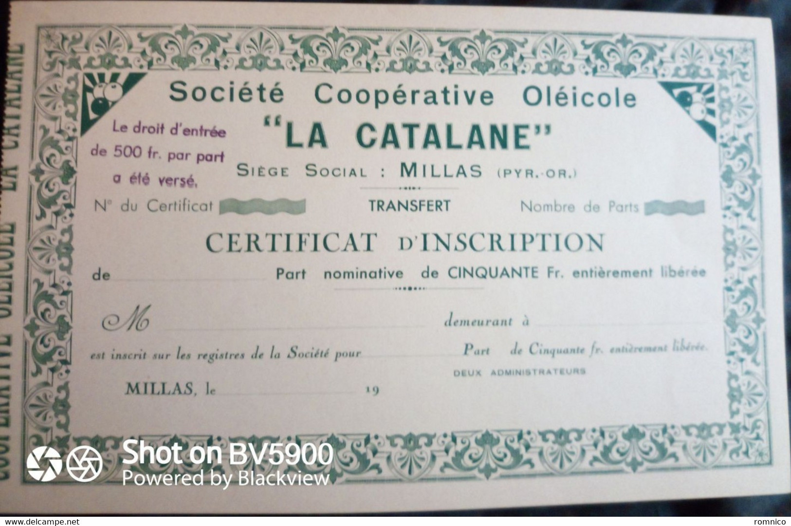 66 Millas La Catalane Société Coopérative Oléicole - Agriculture