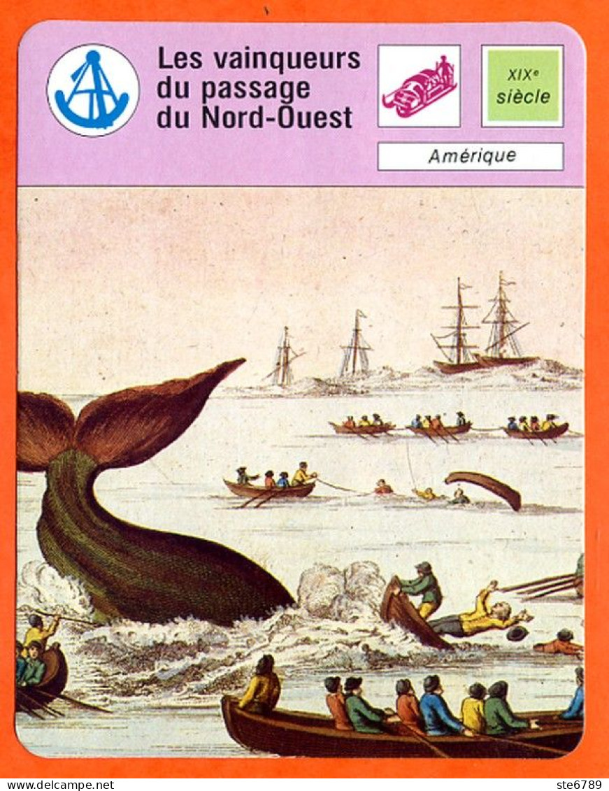 Les Vainqueurs Du Passage Nord Ouest Amérique Explorations Et Découvertes Fiche Illustrée Cousteau N° 3149 - Bateaux