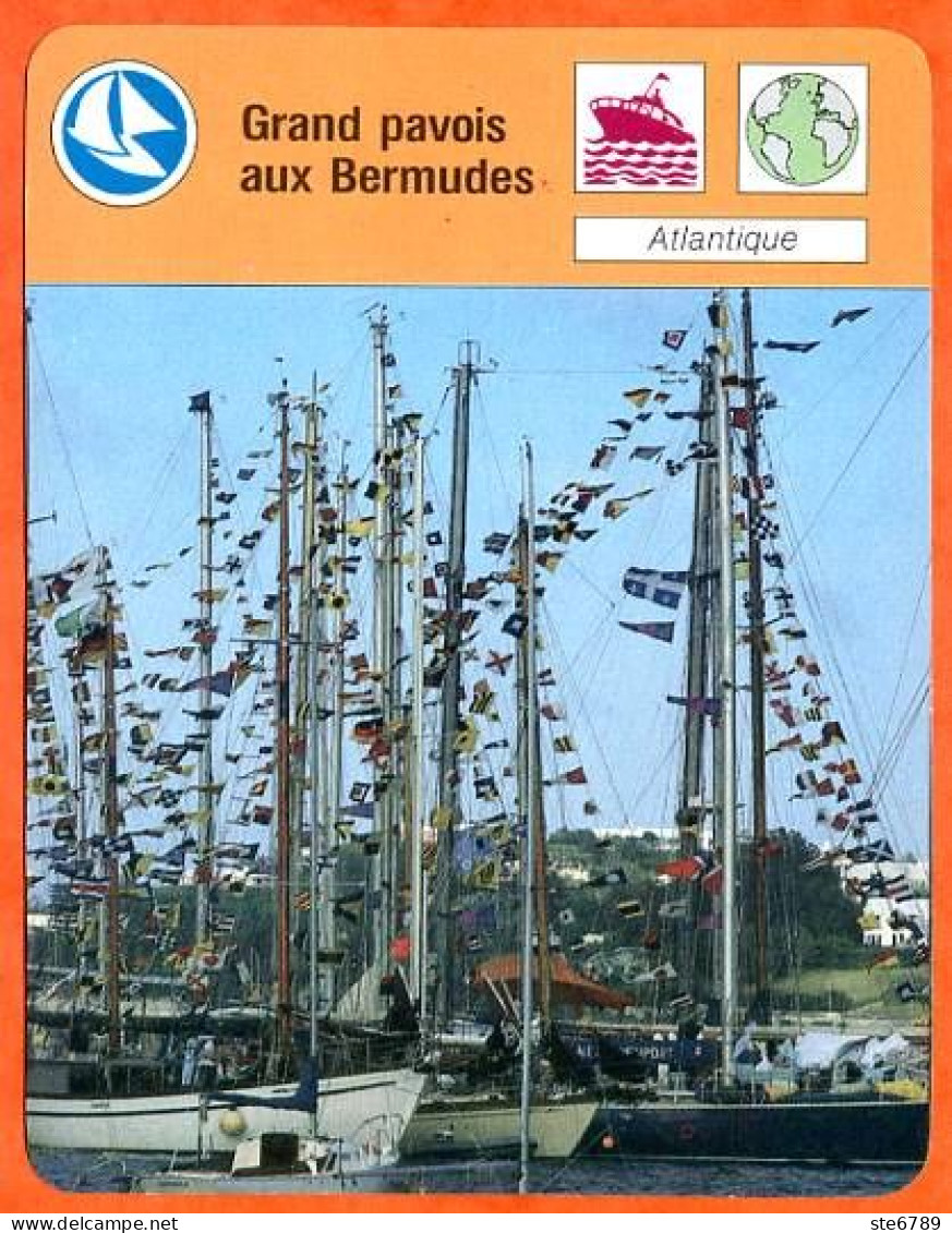 Grand Pavois Aux Bermudes   Fiche Illustrée Cousteau  N° 772 - Bateaux
