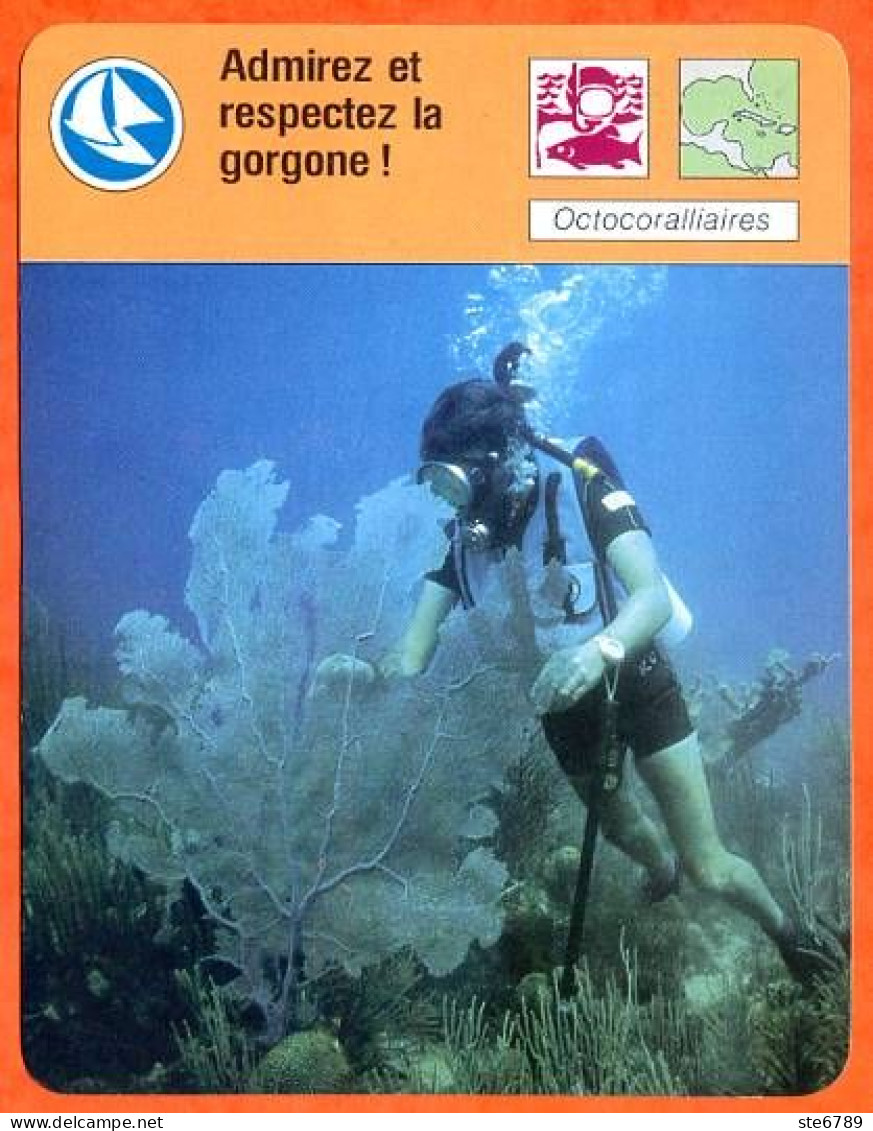 Admirez Et Respecter La Gorgone  Plongeur Fiche Illustrée Cousteau N° 771 - Sport