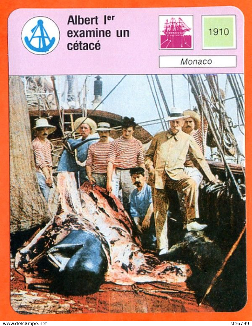Albert 1° Examine Un Cétacé Monaco  Explorations Et Découvertes Fiche Illustrée Cousteau N° 961 - Barcos