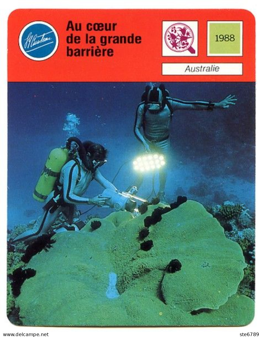 Au Coeur De La Grande Barrière Australie  Plongée Fiche Illustrée Cousteau  N° 01B18 - Sport