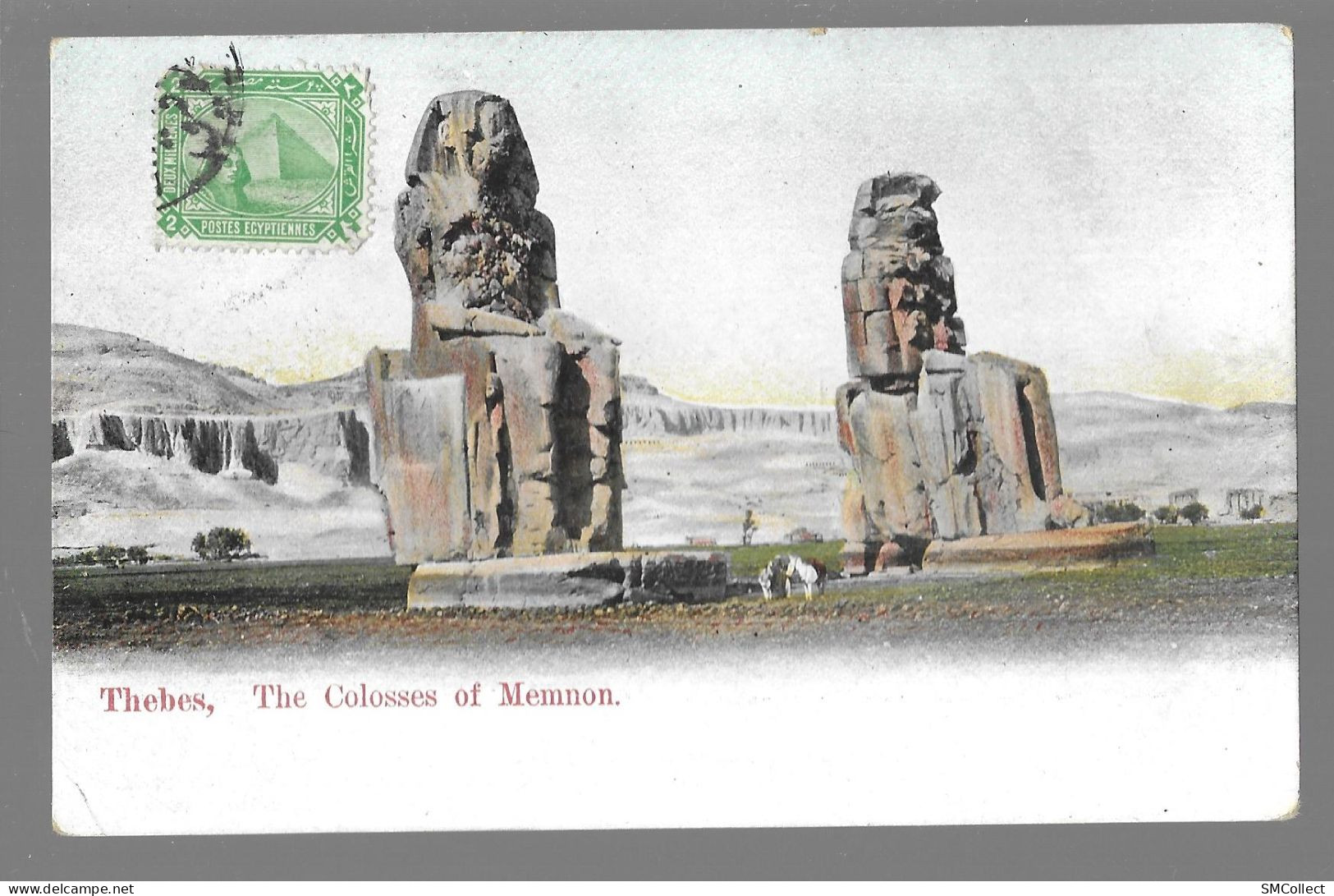 Thèbes, The Colosses Of Memnon (A19p53) - Louxor