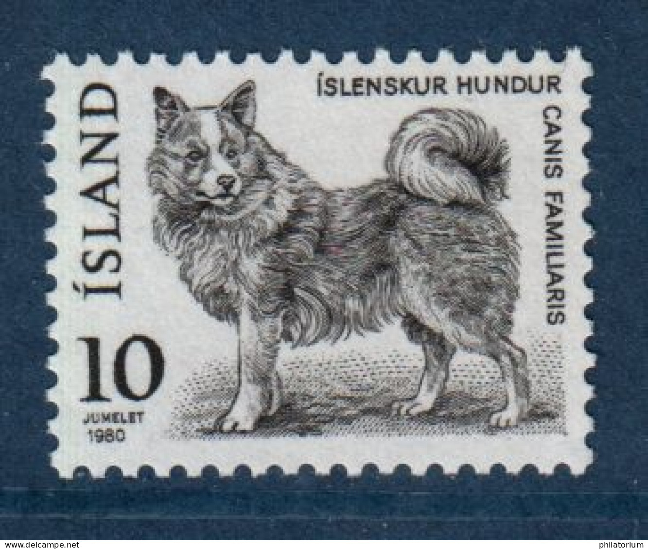 Islande, Island, **, Yv 503, Mi 550, Chien Islandais, - Neufs