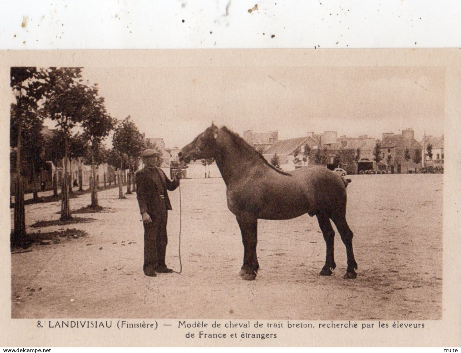 LANDIVISIAU MODELE DE CHEVAL DE TRAIT BRETON RECHERCHE PAR LES ELEVEURS DE FRANCE ET ETRANGERS - Landivisiau