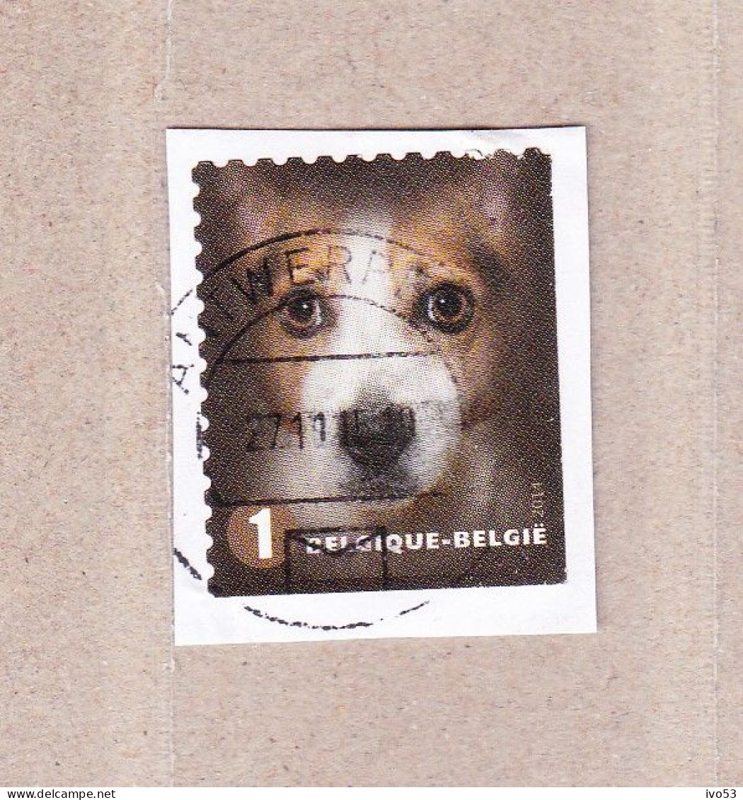 2014 Nr 4392 Gestempeld Op Fragment,zegel Uit Boekje B145.Honden / Chiens. - Gebruikt