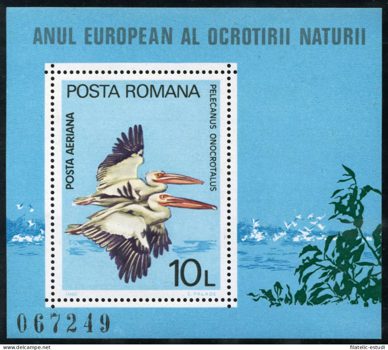 FAU2  Rumanía Romania  HB 141  1980   MNH - Autres & Non Classés