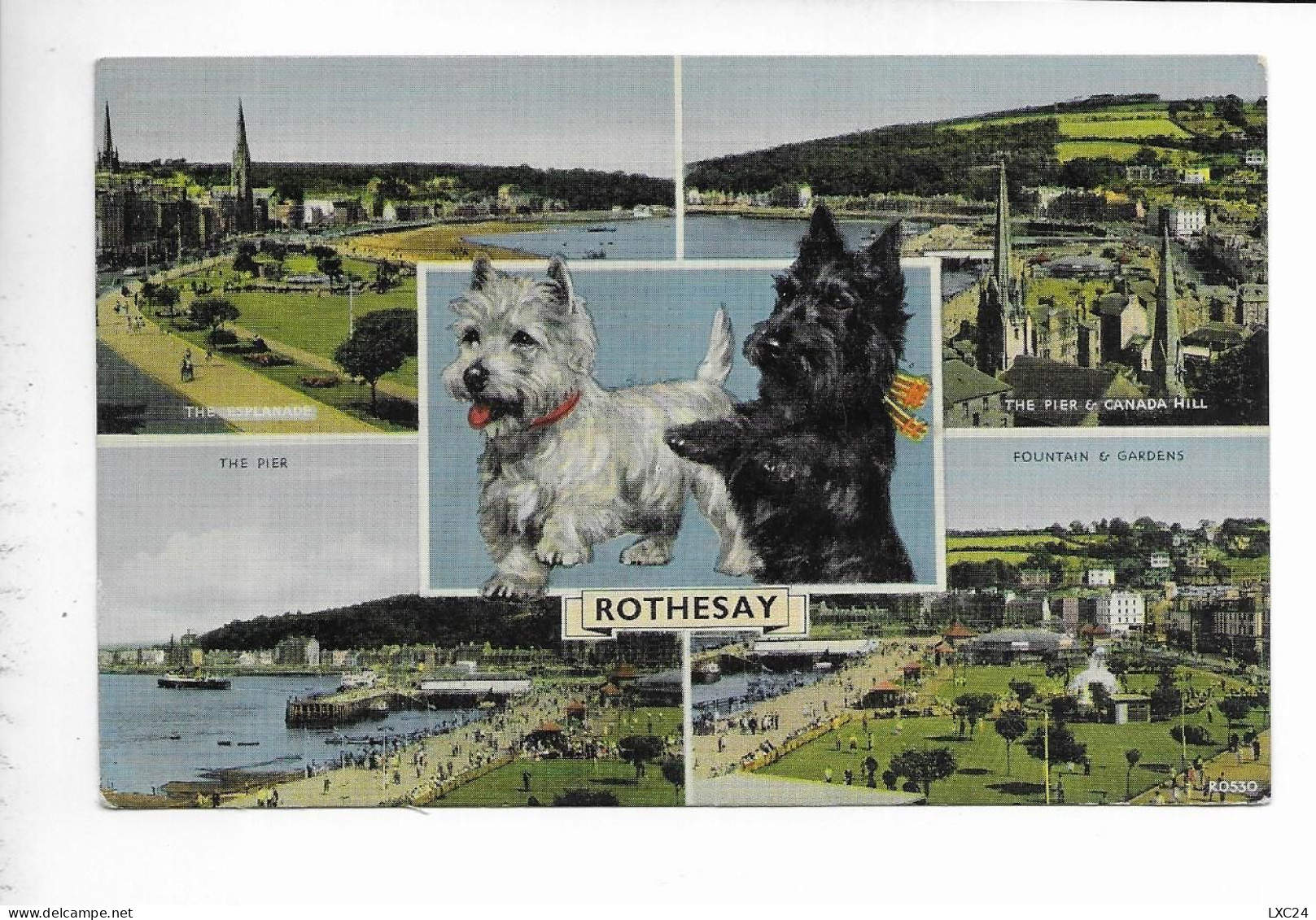 ROTHESAY. - Bute