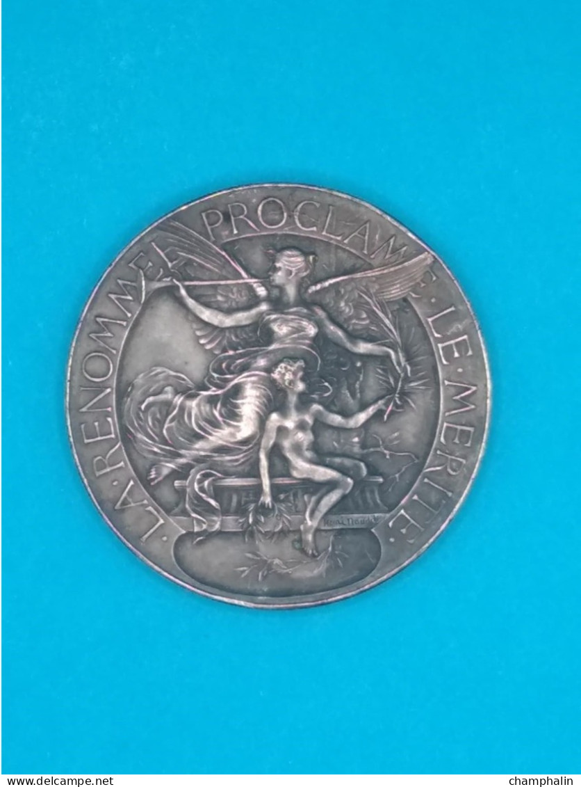 Médaille En Bronze - Département De L'Aube - Ecoles De Greffage 1897-98 - Alix Barat Coussegrey (10) - Graveur H. Maudé - Professionnels / De Société