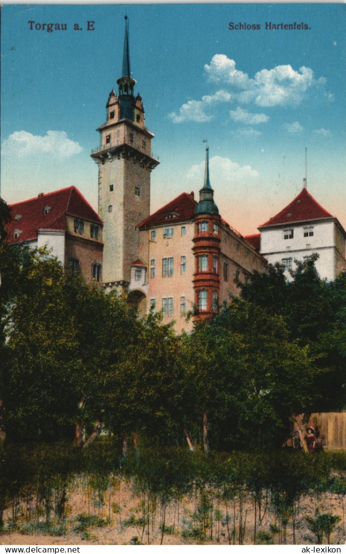 Torgau Schloss Hartenfels Gel. Feldpost 1916   Im 1. Weltkrieg Als Feldpost - Torgau