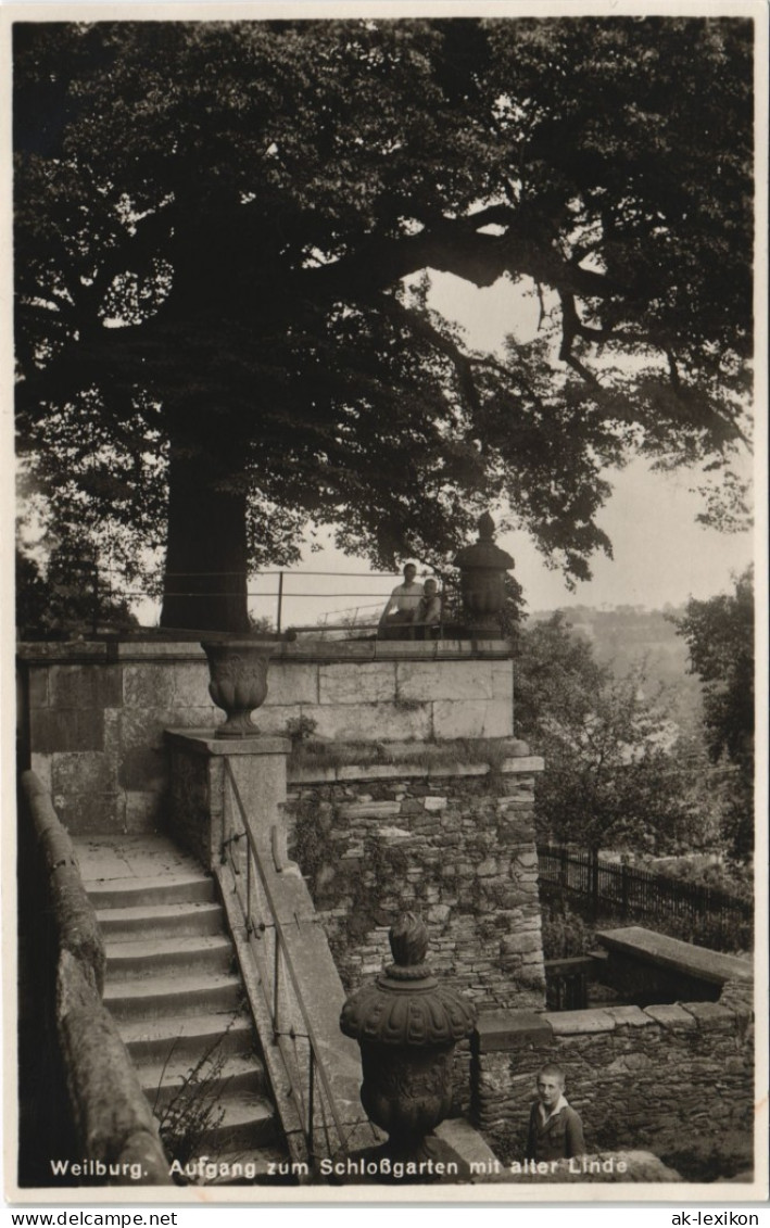 Ansichtskarte Weilburg (Lahn) Schloßpark, Junge Alte Linde 1928 - Weilburg