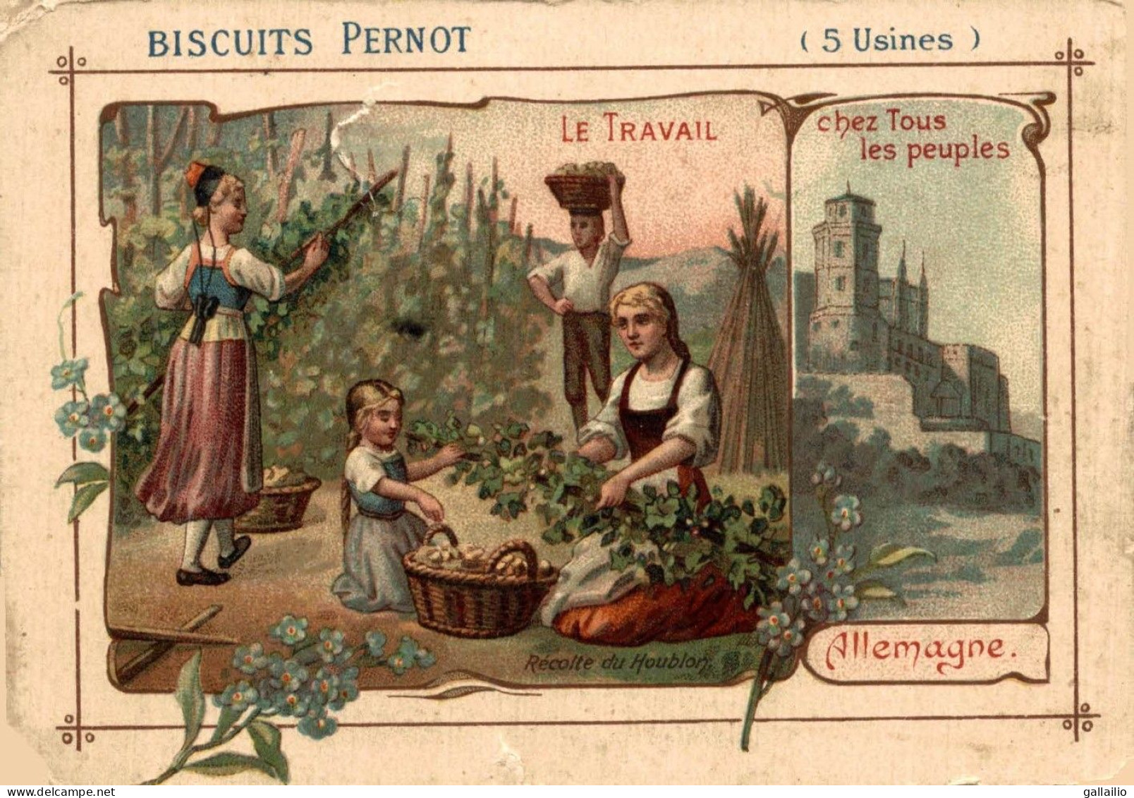 CHROMO BISCUITS PERNOT ALLEMAGNE RECOLTE DU HOUBLON - Pernot