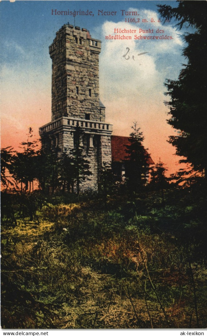 Ansichtskarte Seebach Neuer Turm Aussichtsturm Hornisgrinde Schwarzwald 1910 - Achern