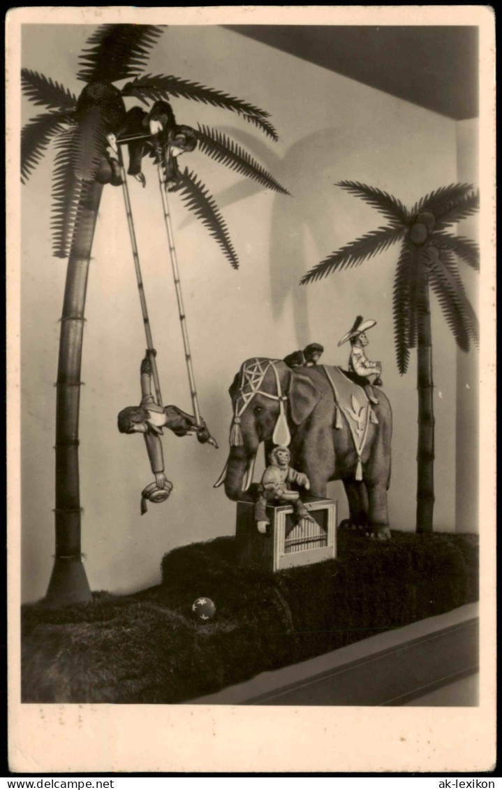 Ansichtskarte Sonneberg Innenansicht, Orgel Spielender Elefant 1956 - Sonneberg