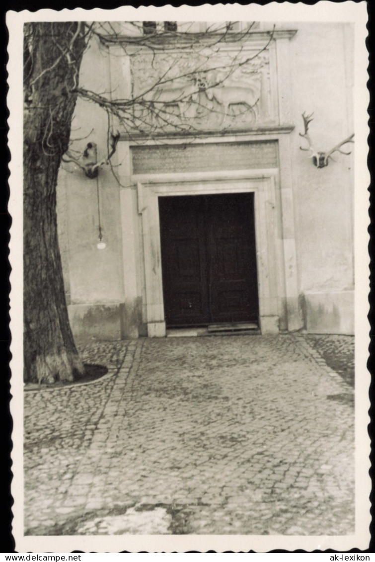 Foto Grunewald-Berlin Jagdschloss Eingangstür 1950 Privatfoto Foto - Grunewald