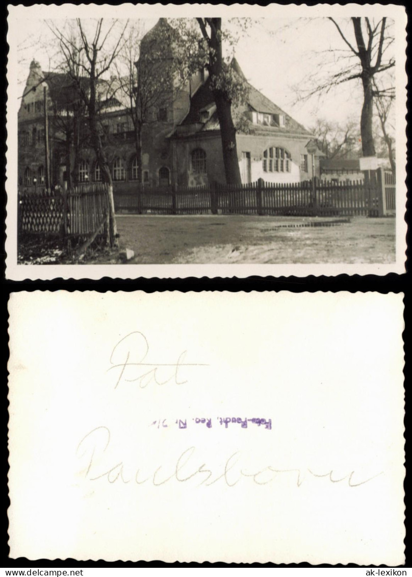 Foto Grunewald-Berlin Paulsborn Am Grunewaldsee 1950 Privatfoto Foto - Grunewald