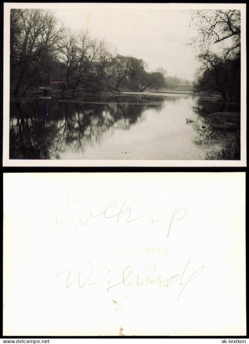 Foto Wilmersdorf-Berlin Volkspark 1950 Privatfoto Foto - Wilmersdorf